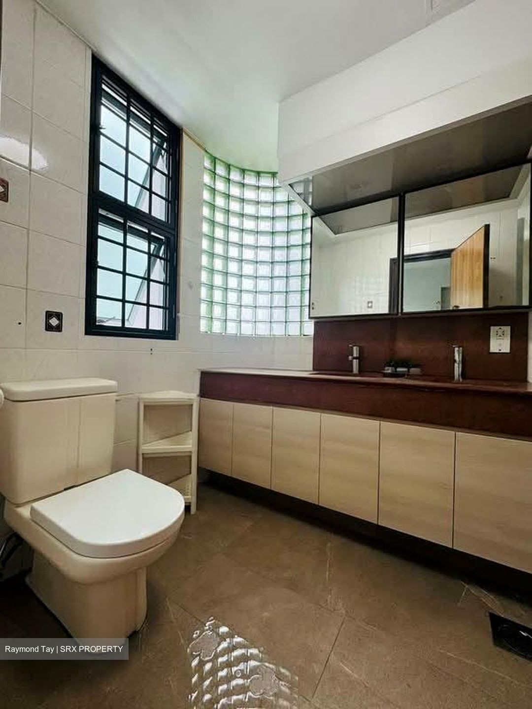 Astor Green (D21), Condominium #561599151